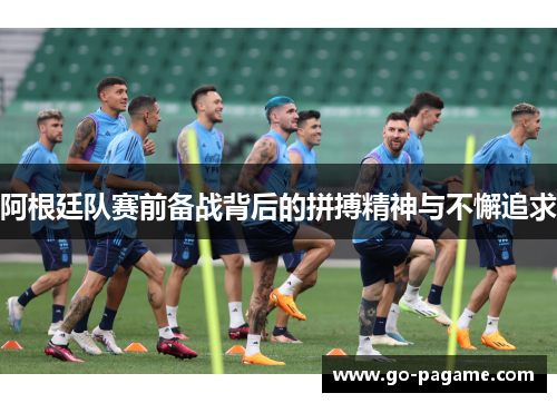 阿根廷队赛前备战背后的拼搏精神与不懈追求