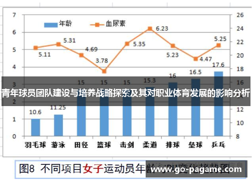 青年球员团队建设与培养战略探索及其对职业体育发展的影响分析